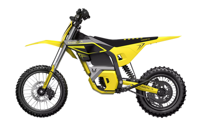 T500 Electric Mini Dirt Bike