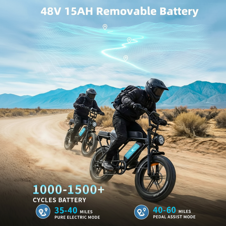 Hipatoo Moped-Style Electric Bike – 1000W 48V 20" Fat Tire