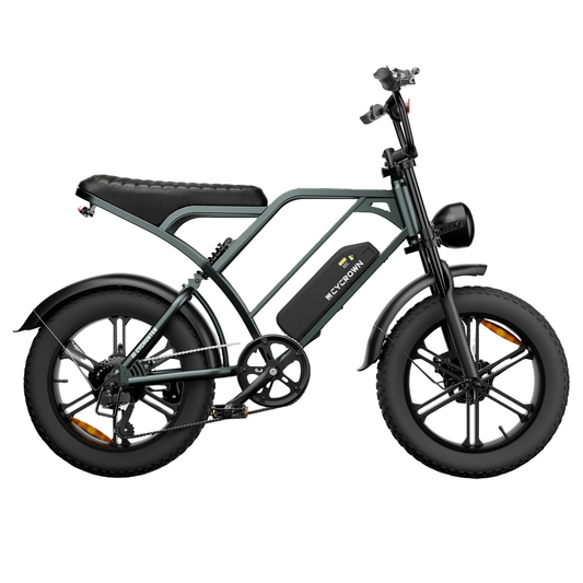 Cychunter Moped-Style Ebike